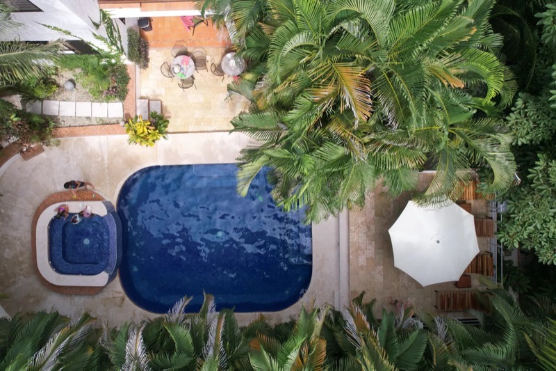 Aerial view of the pool and hot tub among palm trees at Dreamcatcher Hotel